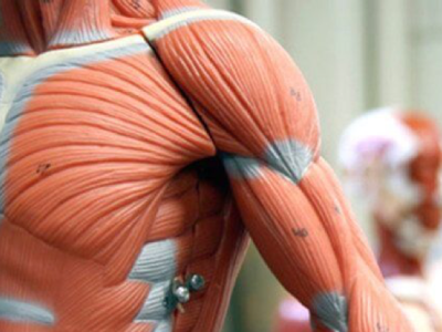 miniatura do curso